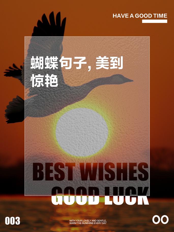 关于蝴蝶的佳句:绚丽飞舞,蝶翼羽化 第1张 关于蝴蝶的佳句:绚丽飞舞,蝶翼羽化 第1张