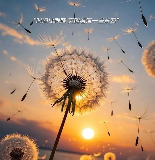 一个人能走多远，看他与谁同行?励志文章  第1张