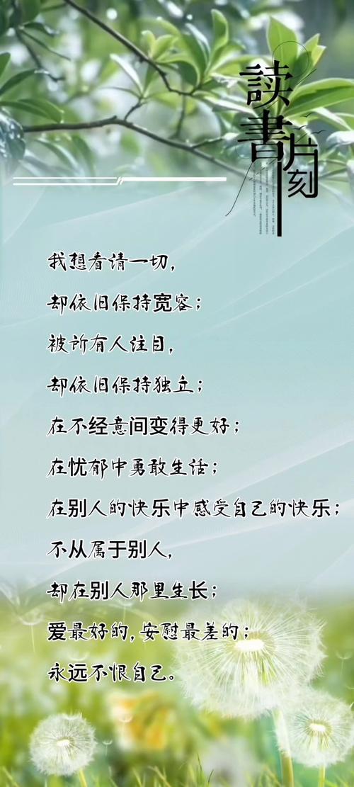 21个积极正能量的励志语录,简短精辟,总有一句入人心坎! 第1张 21个积极正能量的励志语录,简短精辟,总有一句入人心坎! 第1张