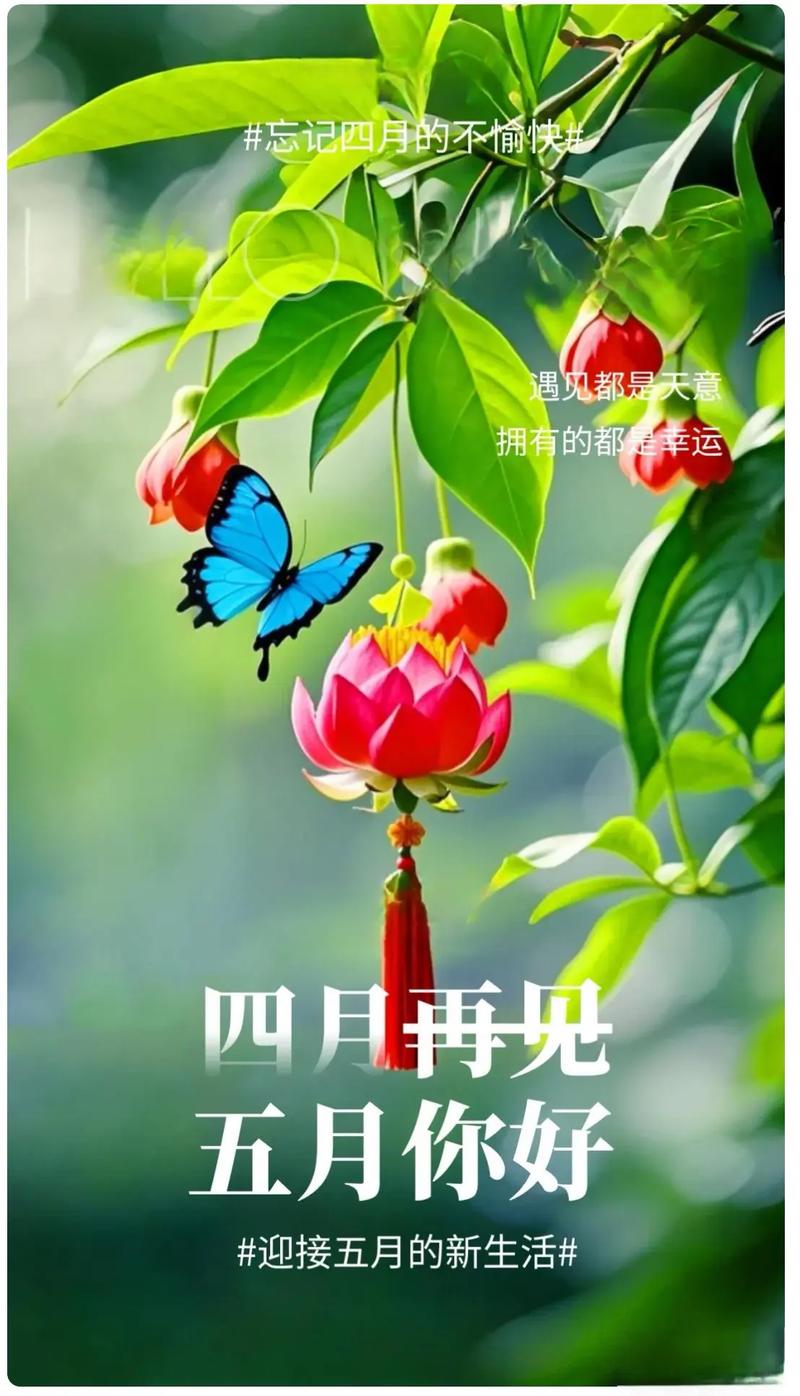 再见啦四月,五月你好!月总结和我的五月插图日历 第1张 再见啦四月,五月你好!月总结和我的五月插图日历 第1张
