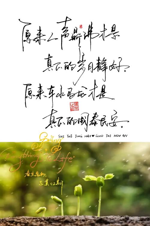 疫情解封后的文案(关于疫情解封的文案短句) 第1张 疫情解封后的文案(关于疫情解封的文案短句) 第1张
