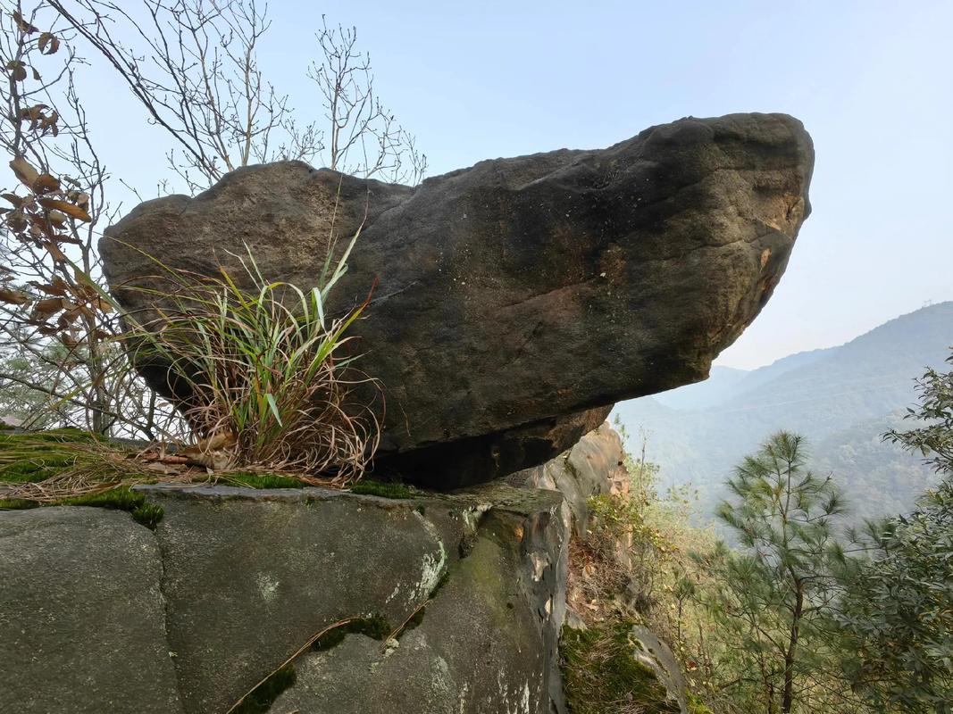 一座山,一块石,一棵树 第1张 一座山,一块石,一棵树 第1张