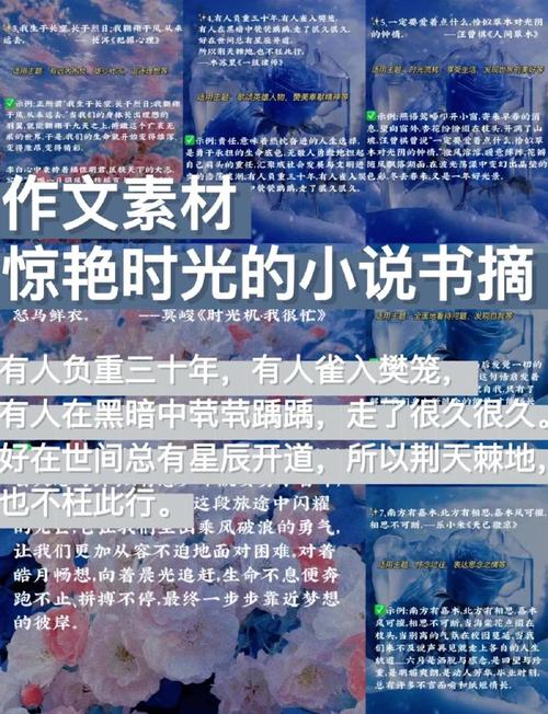 可以写进作文的小说句子  第1张