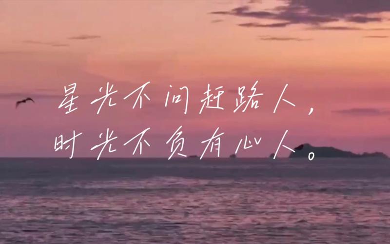 星光不问赶路人,时光不负有心人 第1张 星光不问赶路人,时光不负有心人 第1张