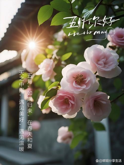 迎接五月的文案 | 清新美好,温柔治愈 第1张 迎接五月的文案 | 清新美好,温柔治愈 第1张