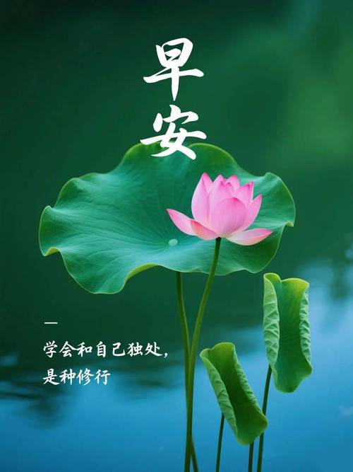无怨无德,不庸人自扰;钱多钱少,把日子过好,早安 第1张 无怨无德,不庸人自扰;钱多钱少,把日子过好,早安 第1张