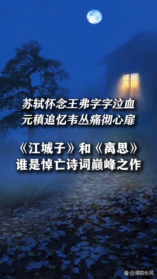 十年生死不相忘,重逢只能在梦中!苏轼一首流传千古的悼亡词 第1张 十年生死不相忘,重逢只能在梦中!苏轼一首流传千古的悼亡词 第1张