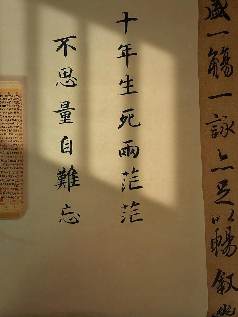 生死两茫茫，何日再相见，亲人心痛死，肝肠寸断中，煎熬谁人知  第1张