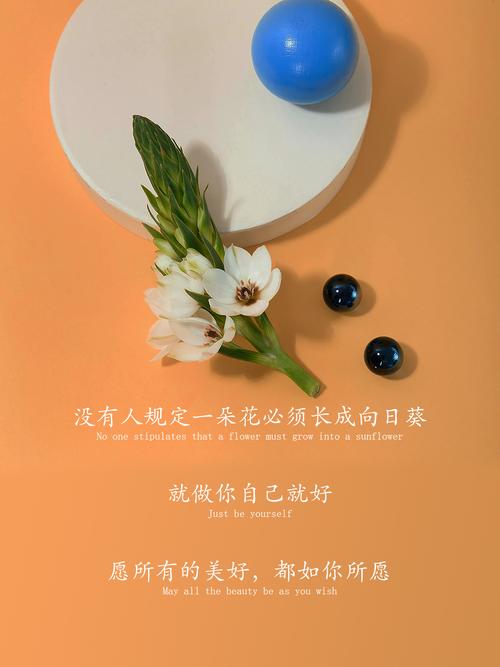 一瞬间释然的句子,句句通透,让你成长 第1张 一瞬间释然的句子,句句通透,让你成长 第1张