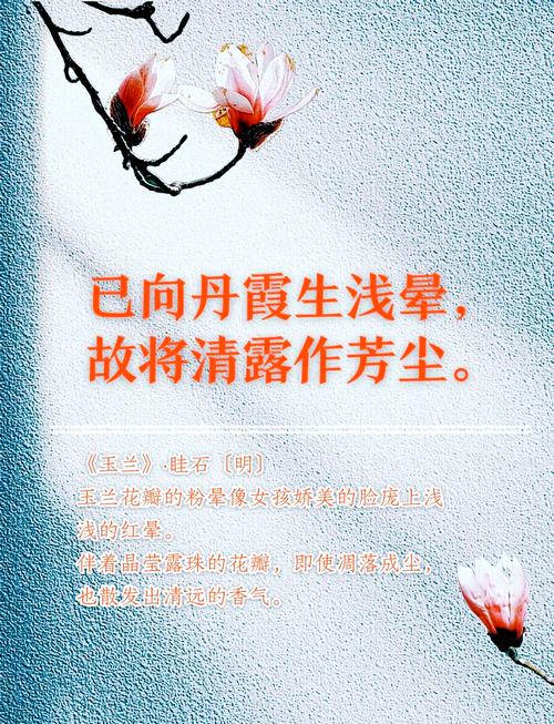娉娉袅袅,晕娇黄、玉色轻明。26句形容女人气质优雅漂亮的诗词 第1张 娉娉袅袅,晕娇黄、玉色轻明。26句形容女人气质优雅漂亮的诗词 第1张