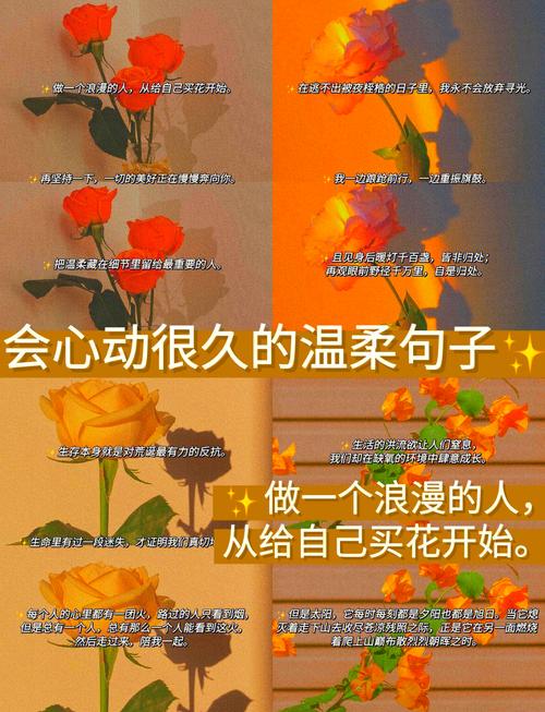 拥抱生活的小确幸:17句治愈系温柔文案,温暖你的心 第1张 拥抱生活的小确幸:17句治愈系温柔文案,温暖你的心 第1张
