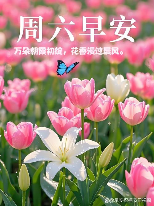 微信早上好句子 周六分享朋友圈早安心语短句 春暖花开明天会更好 第1张 微信早上好句子 周六分享朋友圈早安心语短句 春暖花开明天会更好 第1张