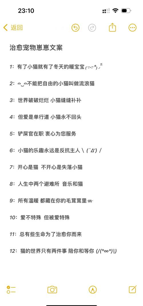 宠爱如初,感动心灵的宠物情感文案 第1张 宠爱如初,感动心灵的宠物情感文案 第1张