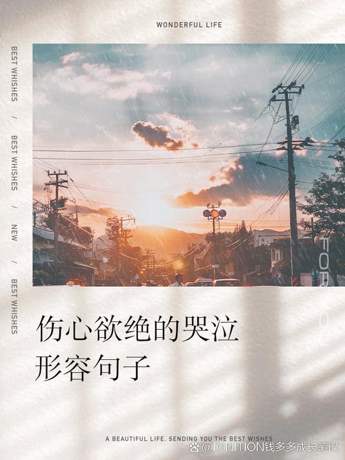 看了流泪的伤感句子,锥心刺骨,令人心碎 第1张 看了流泪的伤感句子,锥心刺骨,令人心碎 第1张