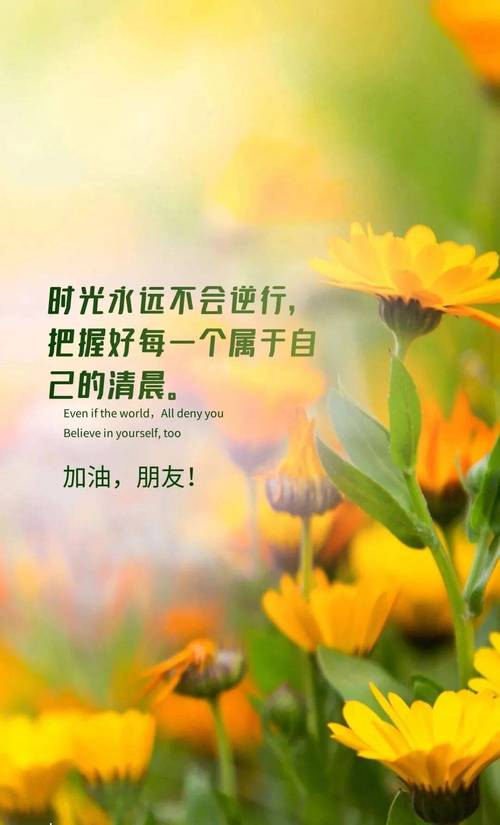正能量乐观的经典句子，值得你花一分钟看看  第1张