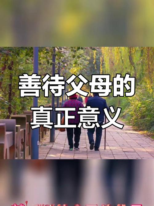 人最大的教养，是善待父母  第1张