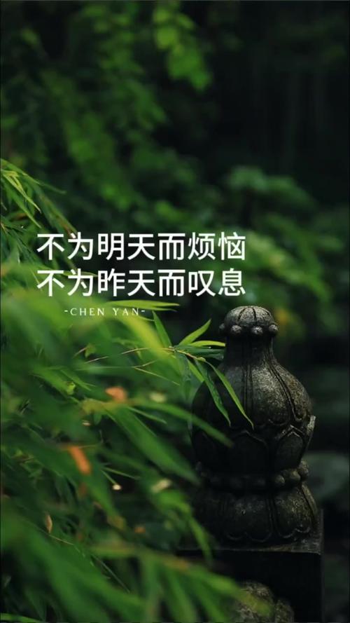 每天一个希望,不为明天而烦恼,不为昨天而叹息,只为今天更美好 第1张 每天一个希望,不为明天而烦恼,不为昨天而叹息,只为今天更美好 第1张
