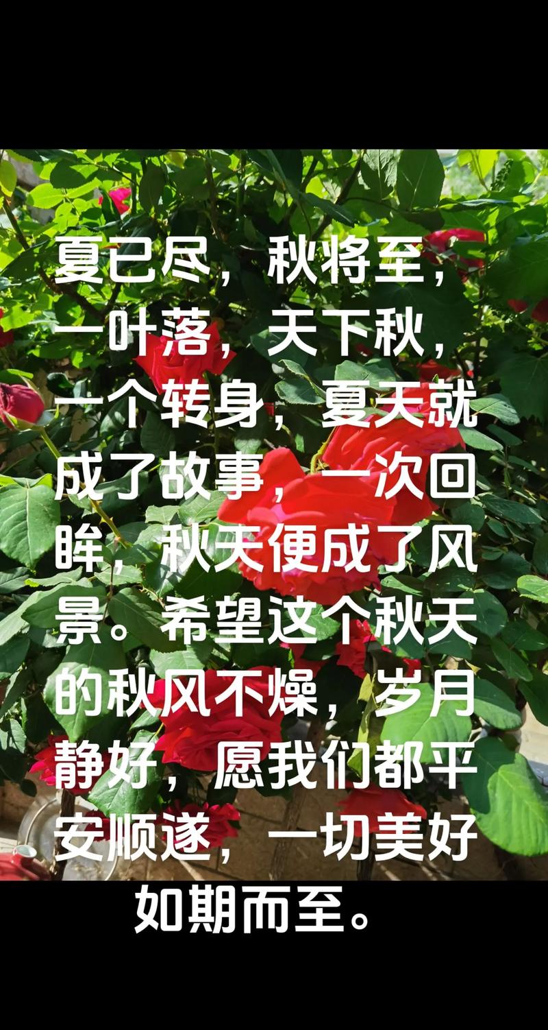时光匆匆,未觉夏尽,时序已是秋 第1张 时光匆匆,未觉夏尽,时序已是秋 第1张