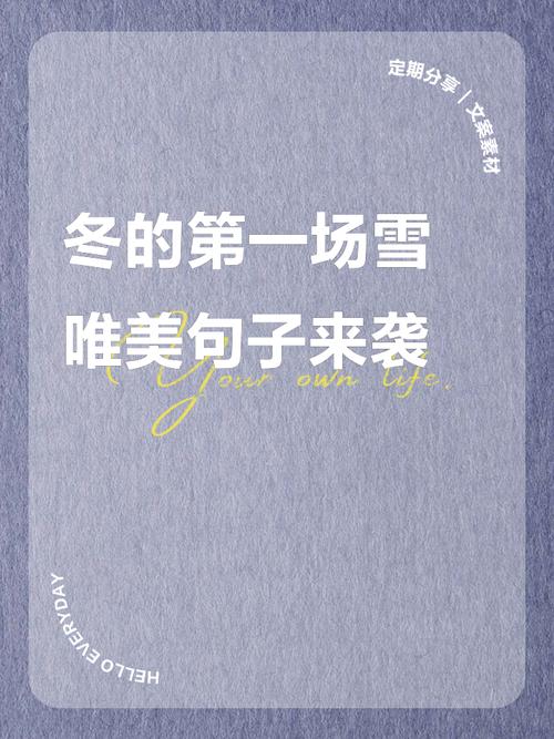 下雪天的文案,高级感唯美诗意句子,下雪文案发朋友圈,简短走心 第1张 下雪天的文案,高级感唯美诗意句子,下雪文案发朋友圈,简短走心 第1张