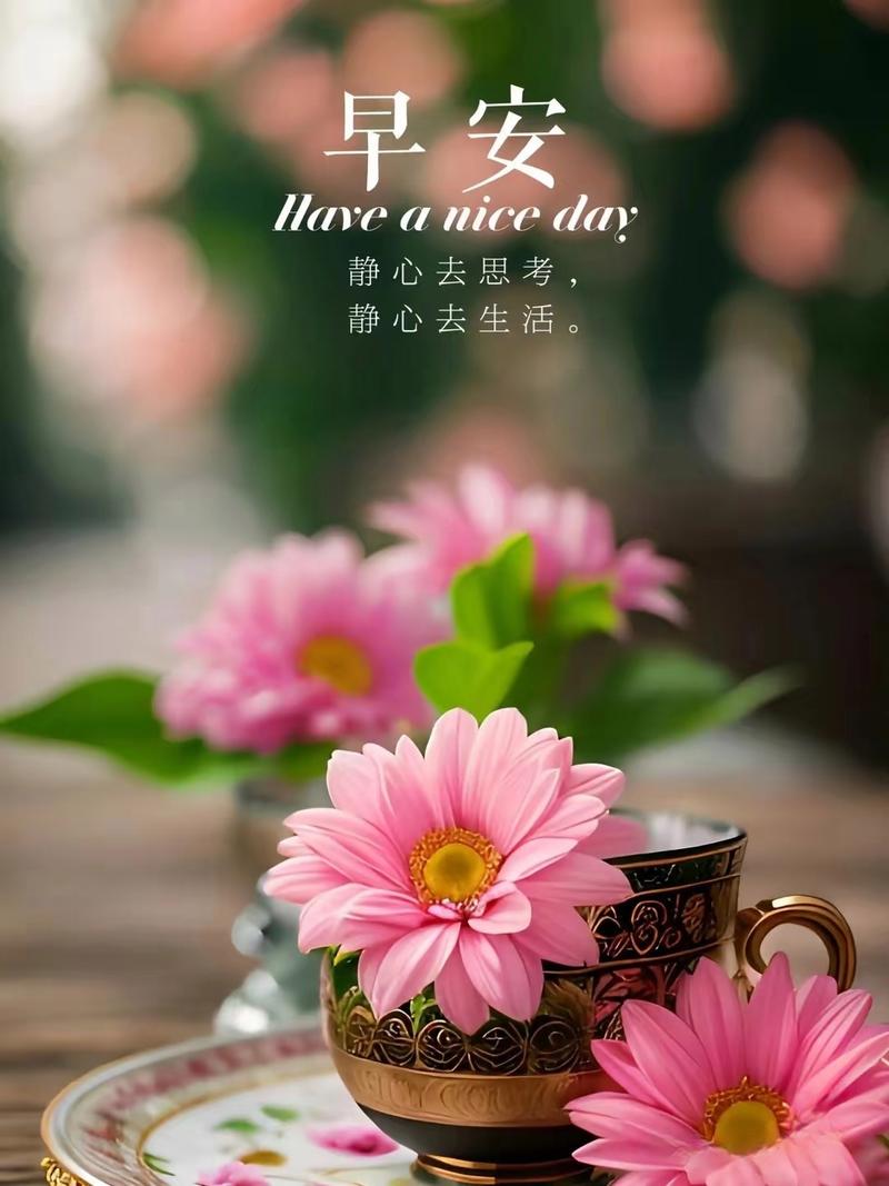 优美早安心语,干净有气质,值得分享 第1张 优美早安心语,干净有气质,值得分享 第1张