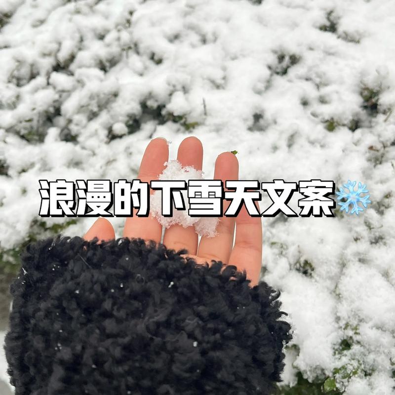 下雪的文案，下雪了唯美句子，短句干净诗意浪漫，发朋友圈  第1张