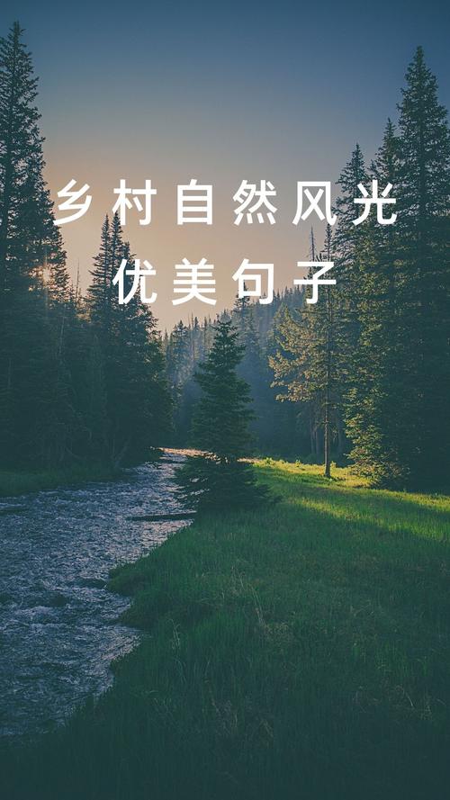 《一个人的村庄》朴素而又沉静的18句话，带你寻回心灵的净土  第1张