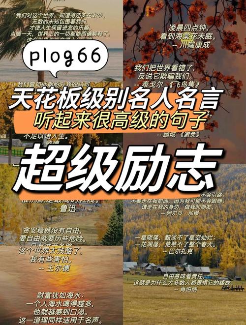 媲美成功者，创造自己的名言  第1张