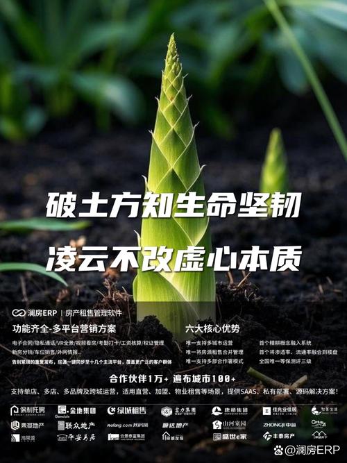 17句种子破土而出的励志名言,让你勇敢面对挑战! 第1张 17句种子破土而出的励志名言,让你勇敢面对挑战! 第1张