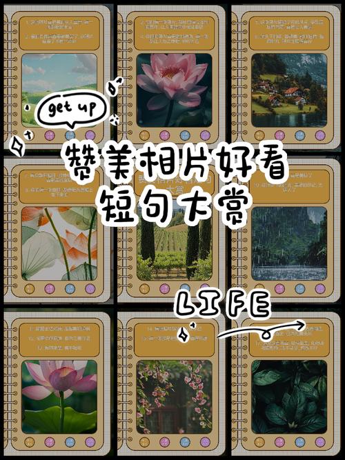 夸赞摄影师朋友圈文案,赞美别人照片拍得好句子 第1张 夸赞摄影师朋友圈文案,赞美别人照片拍得好句子 第1张