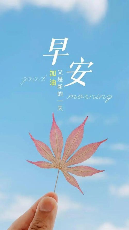 唯美的早安句子：愿你阳光下像个孩子，风雨里像个大人，早安！  第1张