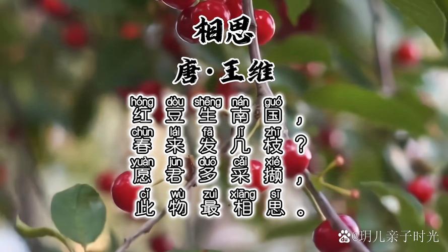 《古诗十九首》,相思占一半 第1张 《古诗十九首》,相思占一半 第1张