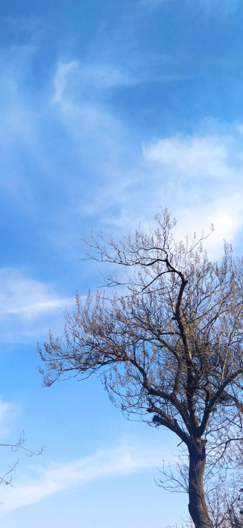 冬日晴空，自在悠然  第1张