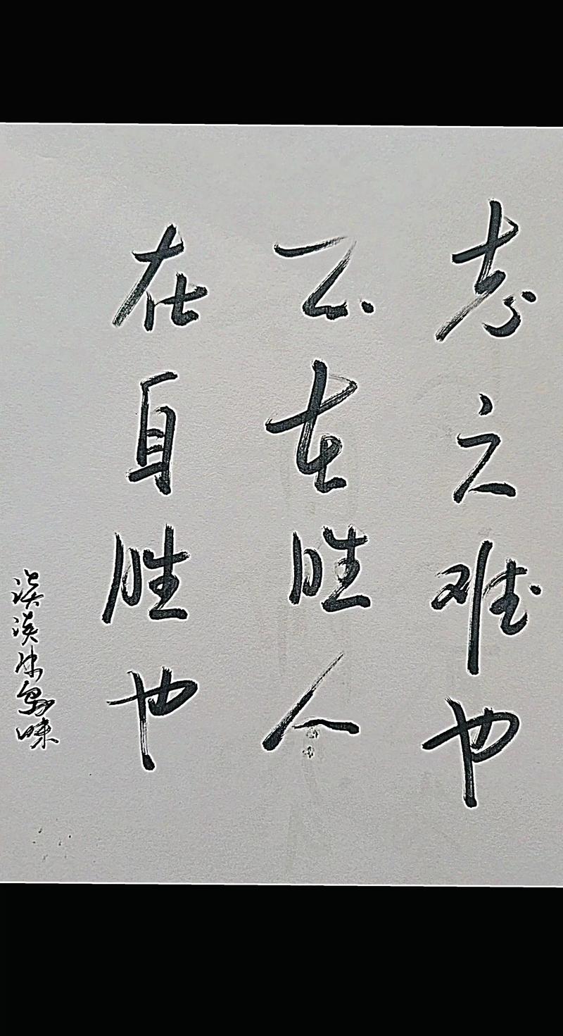 战胜自己才会赢，立志不坚，终不济事。  第1张