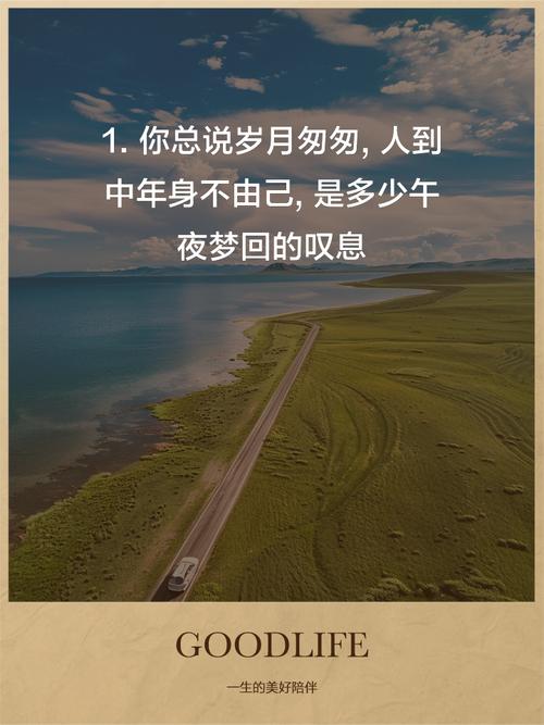 人到中年，渐渐懂得活在当下，心向安暖，安之若素  第1张