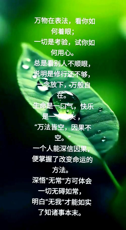 一个人,修行十几年,分享精华3句话 第1张 一个人,修行十几年,分享精华3句话 第1张
