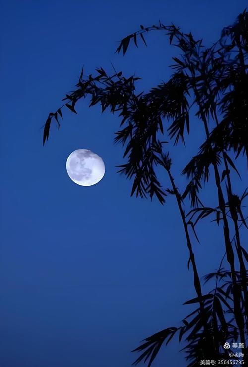 秋之唯美，不急不缓，明月清风——像极力了人生该有的样子  第1张