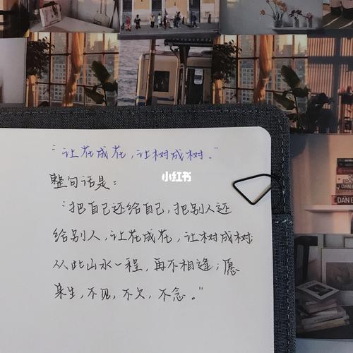 文案/花店不开了,花继续开 第1张 文案/花店不开了,花继续开 第1张