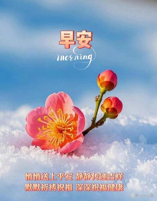 有一种人,只适合放在心里,悄悄的想,静静的念,默默的祝福 第1张 有一种人,只适合放在心里,悄悄的想,静静的念,默默的祝福 第1张