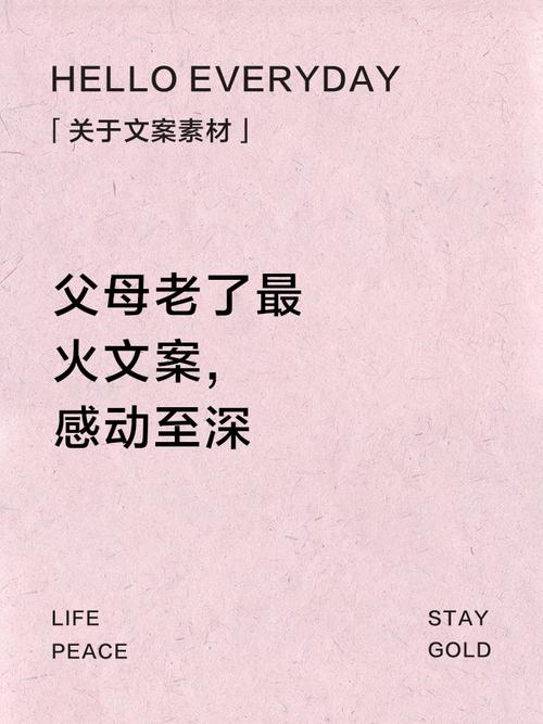 关于父母的泪目文案 第1张 关于父母的泪目文案 第1张