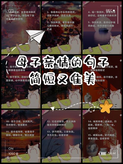 催人泪下的亲情语录,最平凡也最打动人心 第1张 催人泪下的亲情语录,最平凡也最打动人心 第1张