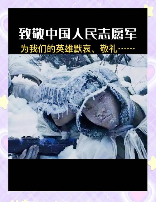 抗美援朝 保家卫国战强敌方显英雄本色 唇亡齿寒谋大局岂畏决策艰难  第1张