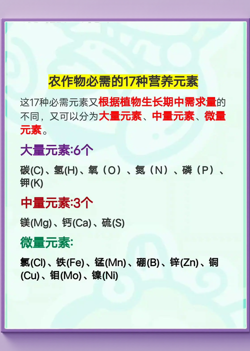 植物必需营养元素之间的关系  第1张