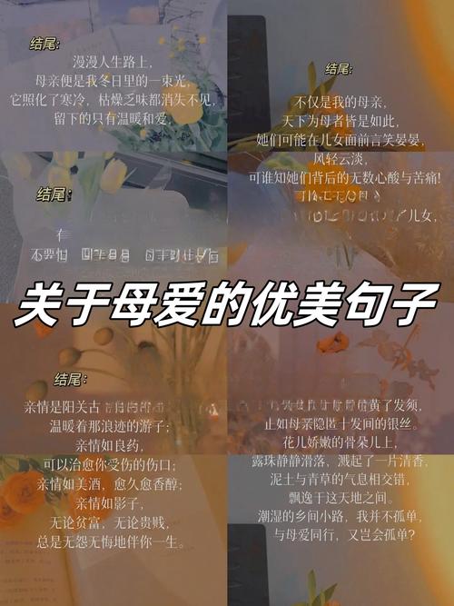 精选82句赞美母亲的名言佳句 第1张 精选82句赞美母亲的名言佳句 第1张