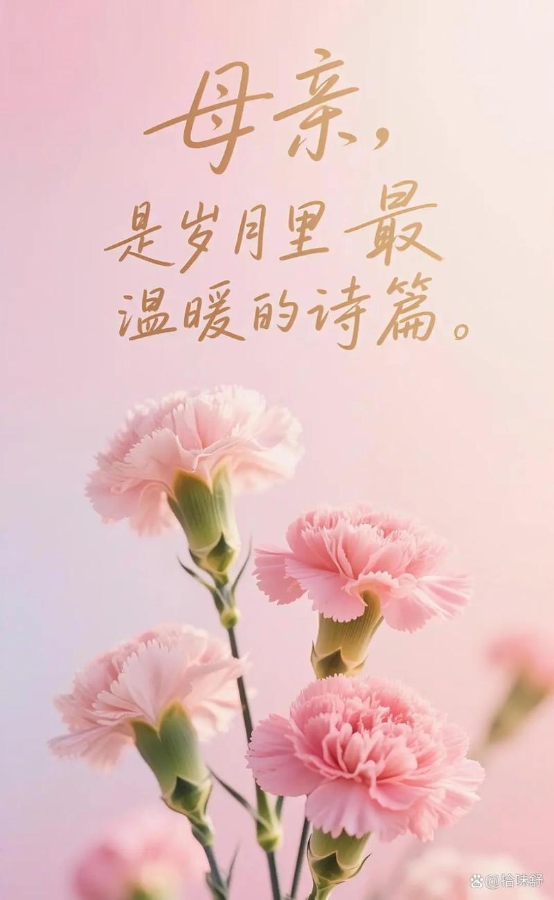 愿每一位母亲都能被岁月温柔对待 第1张 愿每一位母亲都能被岁月温柔对待 第1张