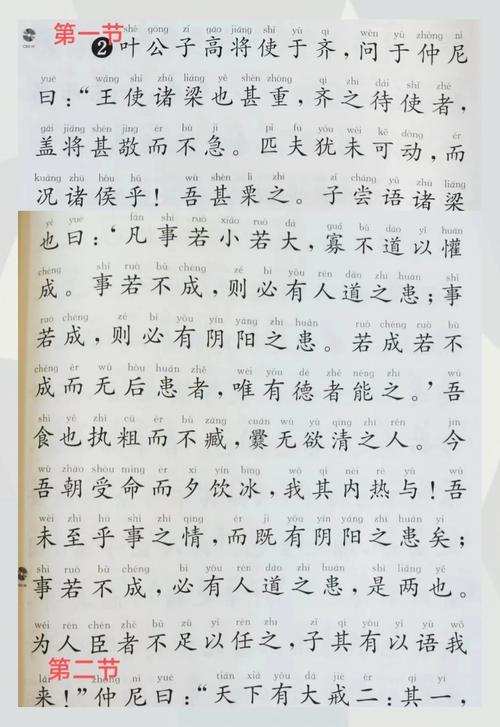 《庄子》逐句解读 人间世之一 悟道不可杂 求实不求名  第1张