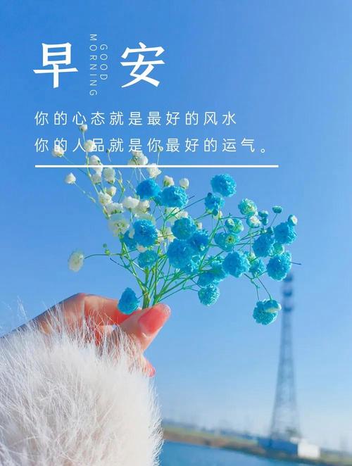 经典早安句子语录 第1张 经典早安句子语录 第1张