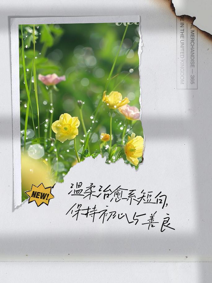 温暖治愈的短句文案 第1张 温暖治愈的短句文案 第1张