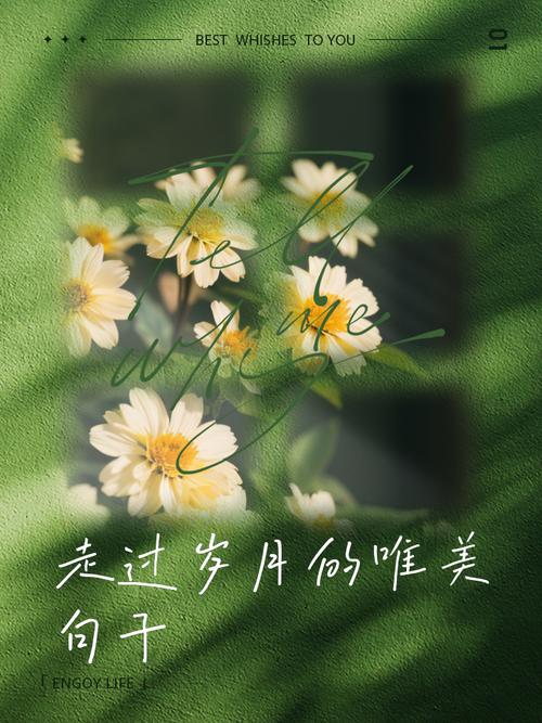 岁月不负情深唯美句子： 1  第1张