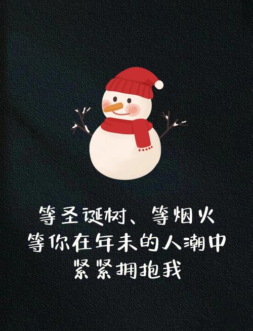 圣诞节文案合集来啦 第1张 圣诞节文案合集来啦 第1张