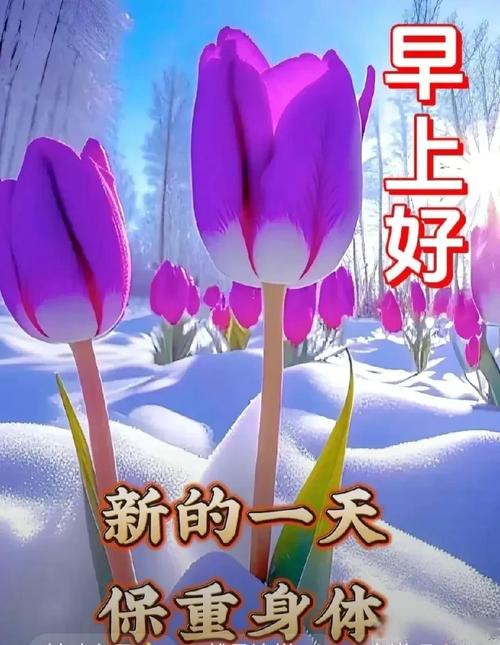 南方小年最新早上好问候语短句，漂亮的冬天温暖感动的早上好祝福语句子，腊月二十四早上好短语暖心图片  第1张